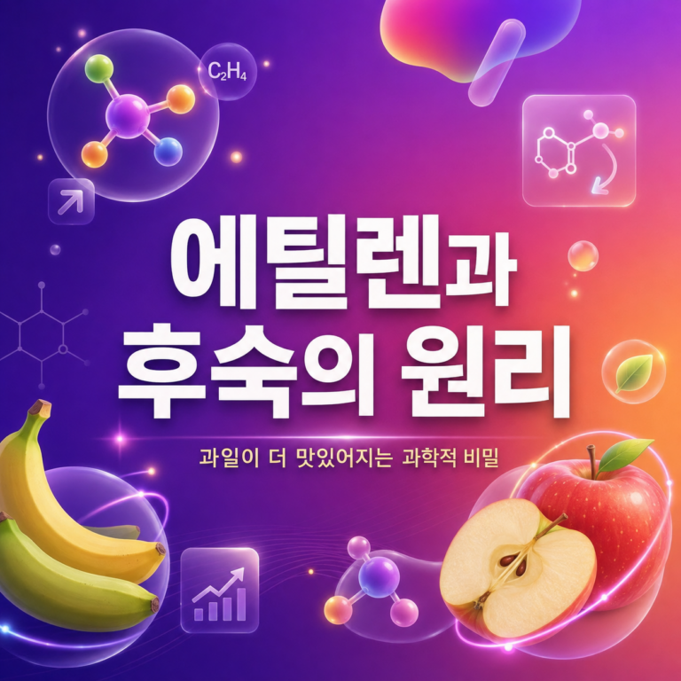 아보카도는 왜 사과와 함께 두면 빨리 익을까? 에틸렌과 후숙의 원리 5 에틸렌과 후숙의 원리