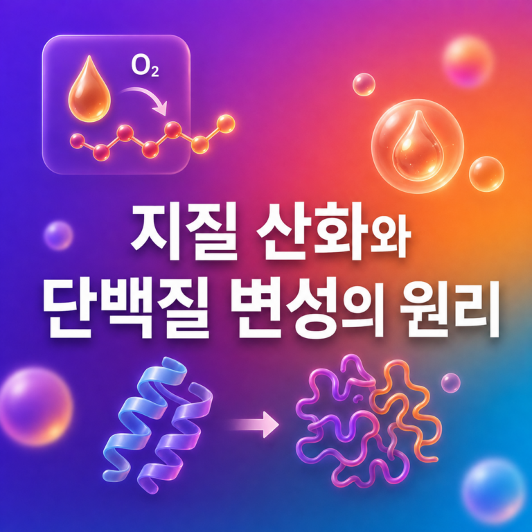 고기는 왜 냉동기간이 길어지면 맛이 달라질까? 지질 산화와 단백질 변성의 원리 1 지질 산화와 단백질 변성의 원리
