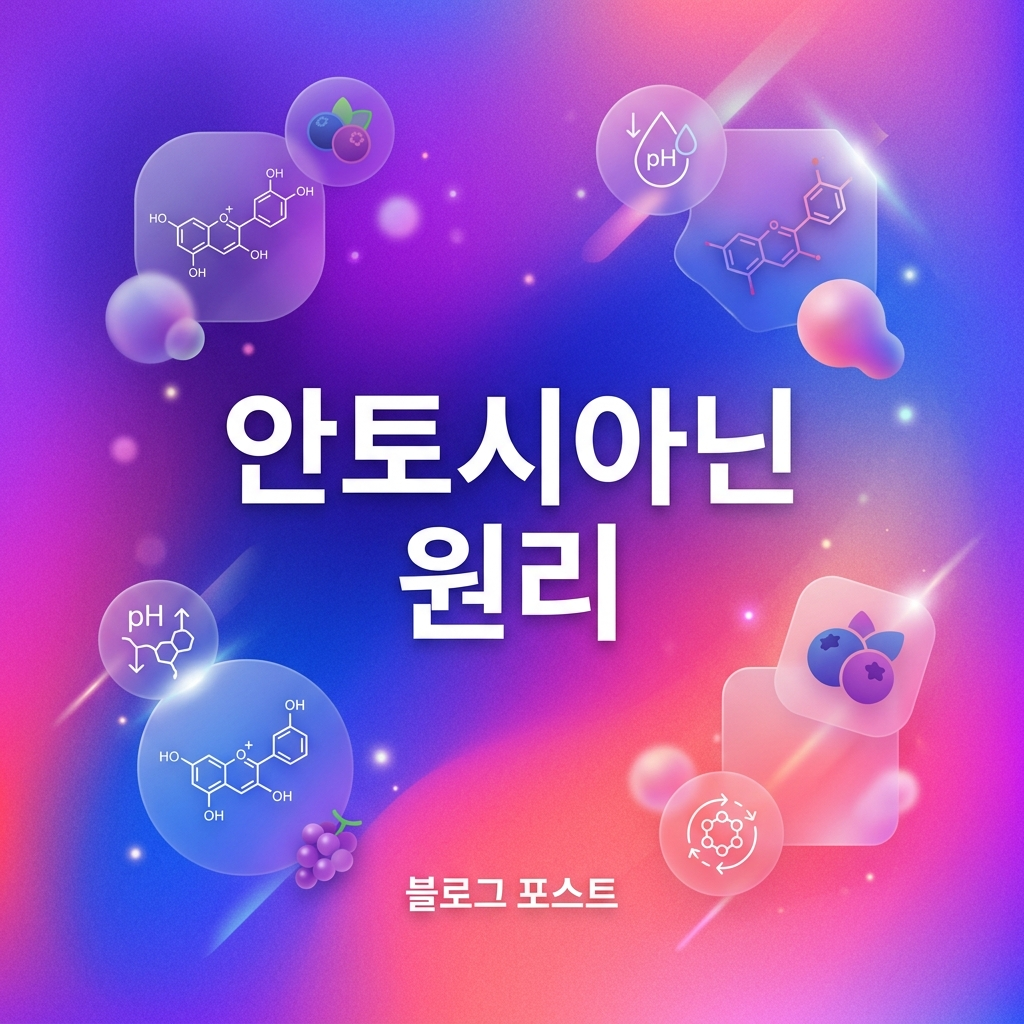 적양배추는 왜 식초에 색이 변할까? 안토시아닌 원리 1 image 10