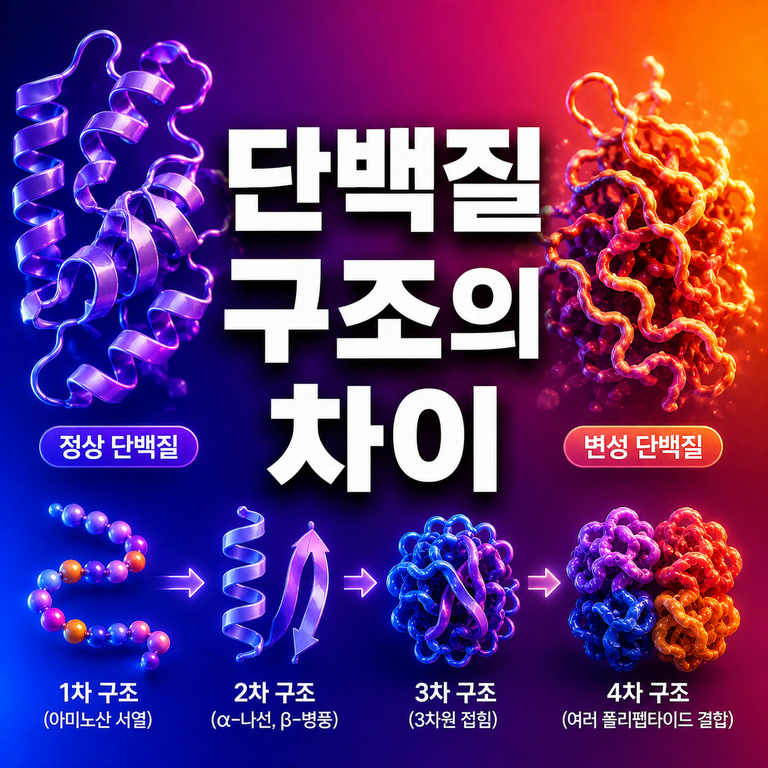 치즈는 왜 녹는 종류와 안 녹는 종류가 있을까? 단백질 구조의 차이 7 단백질 구조의 차이