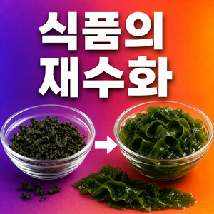 말린 미역은 어떻게 물을 만나 다시 커질까? 식품의 재수화 2 말린 미역은 어떻게 물을 만나 다시 커질까? 식품의 재수화