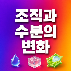 버섯은 조리하면 왜 크기가 크게 줄어들까? 조직과 수분의 변화 1 버섯은 조리하면 왜 크기가 크게 줄어들까? 조직과 수분의 변화