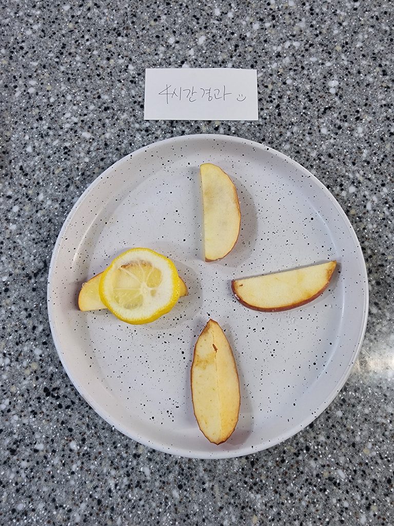 사과 갈변은 무엇이 가장 잘 막을까? 시간별 직접실험비교 5 KakaoTalk 20260913 175426399 01 768x1024 1