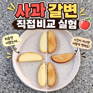 사과 갈변은 무엇이 가장 잘 막을까? 시간별 직접실험비교 9 사과 갈변 직접비교 실험
