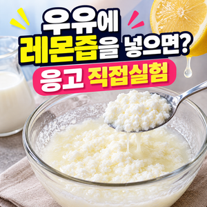 우유에 레몬즙을 넣으면 왜 굳을까? 양에 따른 응고 직접실험 7 우유에 레몬즙을 넣으면 왜 굳을까? 양에 따른 응고 직접실험