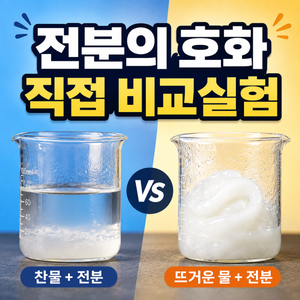 전분에 찬물과 뜨거운 물을 부으면 어떻게 달라질까? 직접 비교실험 10 전분에 찬물과 뜨거운 물을 부으면 어떻게 달라질까? 직접 비교실험